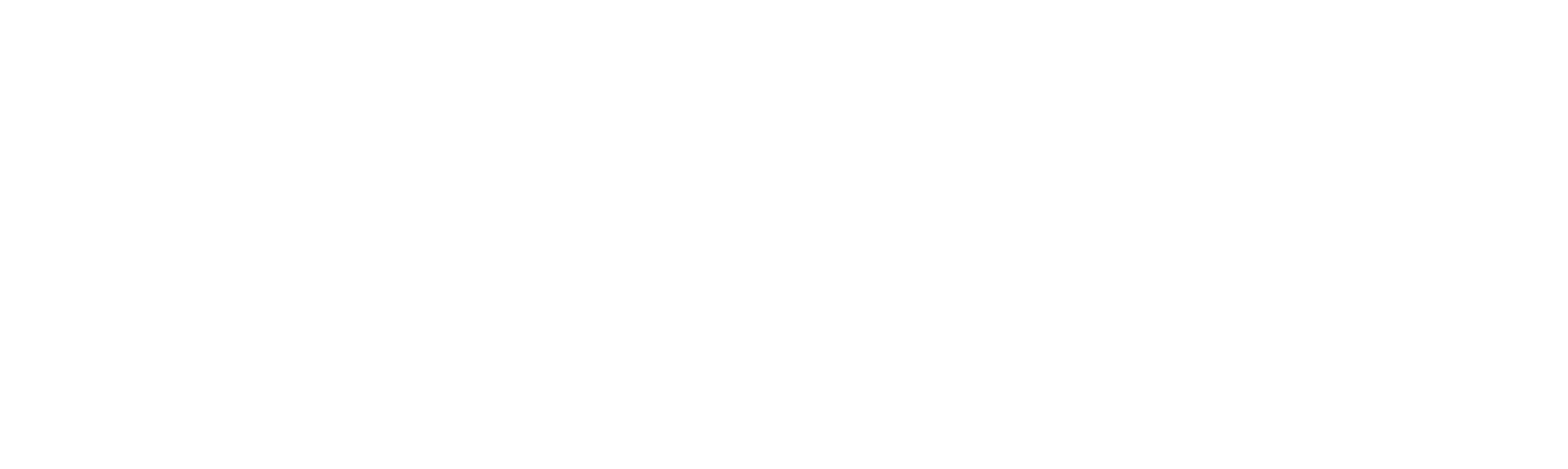 AINext Logo